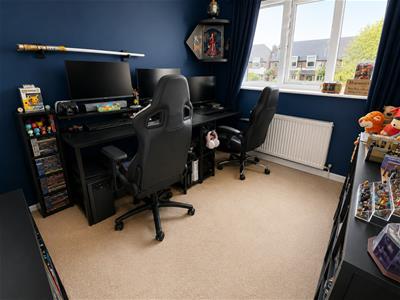 Picture 11